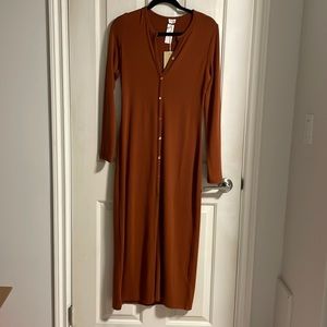 BNWT Wilfred Free Pisces dress